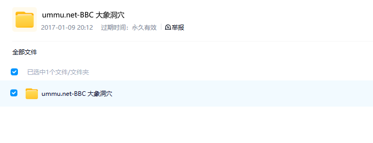 图片[2]-《大象洞穴 Elephant Cave》 (2022) 英国BBC纪录片【单集全/中英双字】-玩嗨助吧网