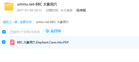 图片[3]-《大象洞穴 Elephant Cave》 (2022) 英国BBC纪录片【单集全/中英双字】-玩嗨助吧网