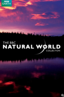 《大象洞穴 Elephant Cave》 (2022) 英国BBC纪录片【单集全/中英双字】-玩嗨助吧网