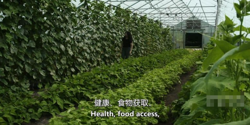 《为了明天 Feeding Tomorrow》 (2024) 美国自然纪录片【单集全/中英双字】-玩嗨助吧网