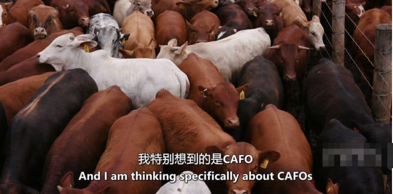 图片[4]-《为了明天 Feeding Tomorrow》 (2024) 美国自然纪录片【单集全/中英双字】-玩嗨助吧网