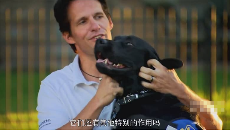  非凡的狗儿 Extraordinary Dogs (2011) Channel 5纪录片 | 全13集/中英双字/犬类纪实-玩嗨助吧网