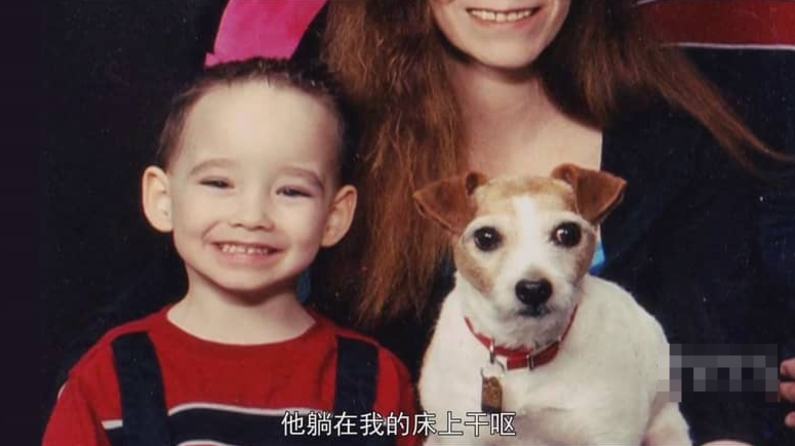 图片[3]- 非凡的狗儿 Extraordinary Dogs (2011) Channel 5纪录片 | 全13集/中英双字/犬类纪实-玩嗨助吧网