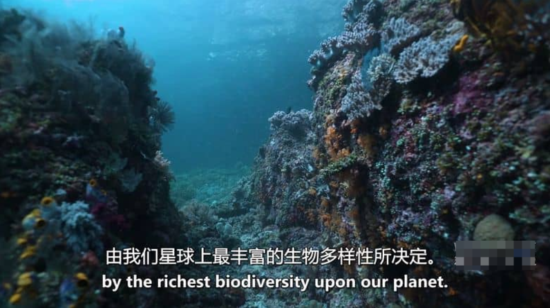 图片[2]-[如果地球上没有陆地] 2024 美国自然类纪录片 高清资源下载-玩嗨助吧网