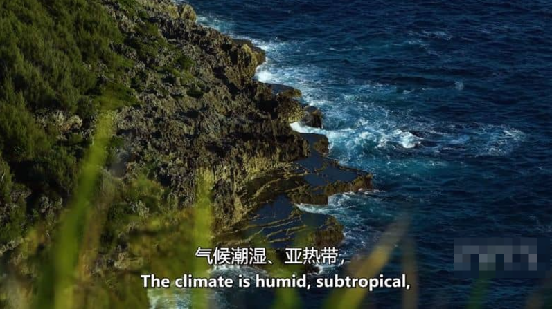 图片[4]-[如果地球上没有陆地] 2024 美国自然类纪录片 高清资源下载-玩嗨助吧网