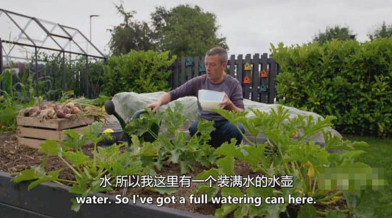 图片[2]-家庭种菜纪录片[种植烹饪食用]2020 美国 中英双字 全季完整版-玩嗨助吧网