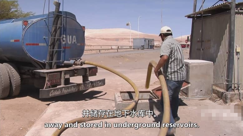 图片[3]-自然纪录片-玩嗨助吧网