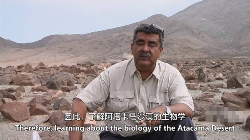 图片[2]-自然纪录片-玩嗨助吧网