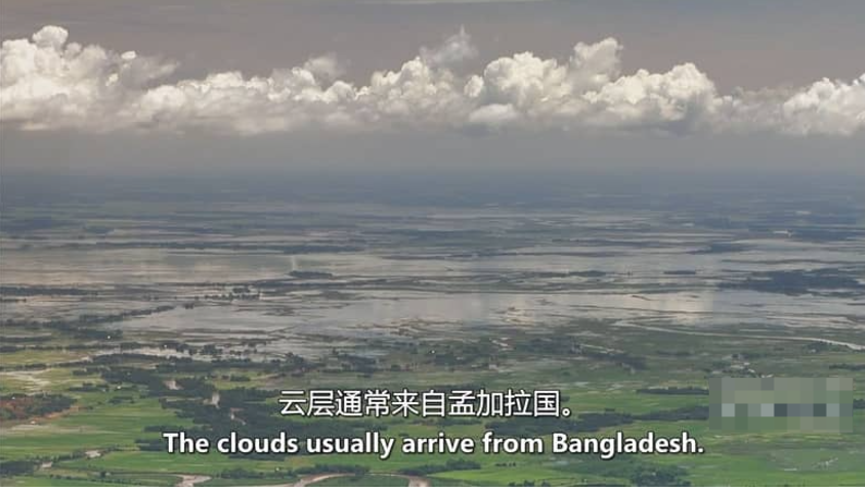 图片[4]-自然纪录片-玩嗨助吧网