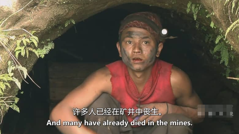 图片[5]-自然纪录片-玩嗨助吧网