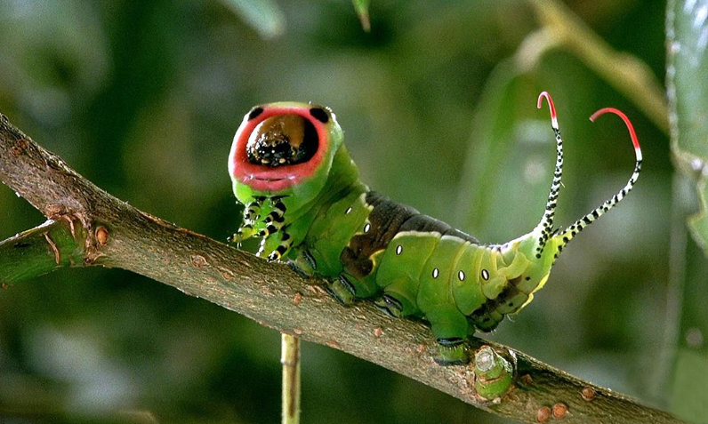 图片[3]-自然纪录片-玩嗨助吧网