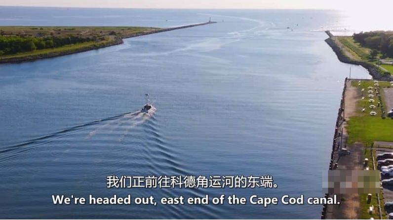 图片[3]-《鱼叉猎人 Harpoon Hunters》 (2025) 美国Discovery纪录片【全9集/中英双字】-玩嗨助吧网