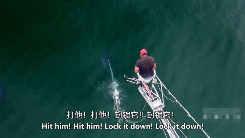 图片[2]-《鱼叉猎人 Harpoon Hunters》 (2025) 美国Discovery纪录片【全9集/中英双字】-玩嗨助吧网