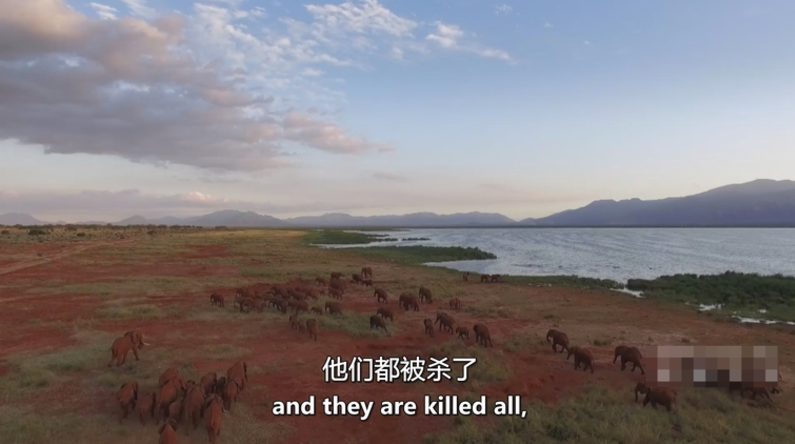 图片[2]-《遗产 Heritage》 (2006) 英国自然纪录片【全3集/中英双字】高清资源下载-玩嗨助吧网