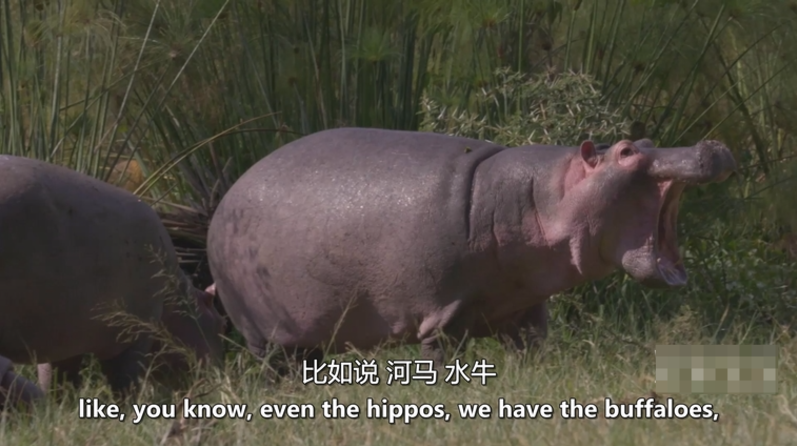 《遗产 Heritage》 (2006) 英国自然纪录片【全3集/中英双字】高清资源下载-玩嗨助吧网