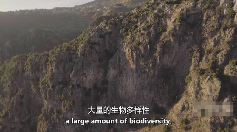 图片[4]-《遗产 Heritage》 (2006) 英国自然纪录片【全3集/中英双字】高清资源下载-玩嗨助吧网