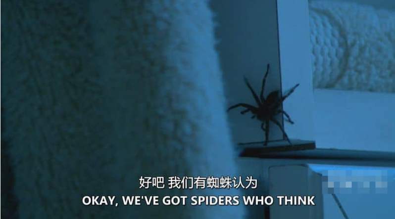 图片[2]-《害虫入侵！Infested!》 (2011) 美国Discovery纪录片【全3集/中英双字】高清资源下载-玩嗨助吧网