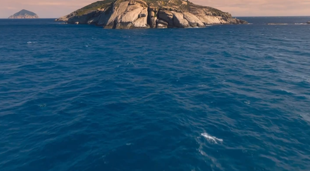 图片[5]-《农场动物的秘密生活 第一季 Secret Life of Farm Animals》 (2018) 英国BBC纪录片【全3集/中英双字】高清资源下载-玩嗨助吧网