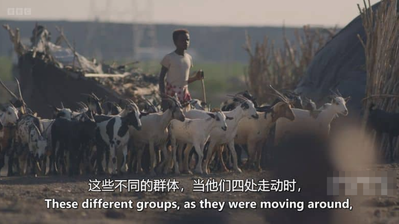 图片[2]-《人类 2025 Human 2025》 (2025) 英国BBC纪录片【全5集/中英双字】高清资源下载-玩嗨助吧网