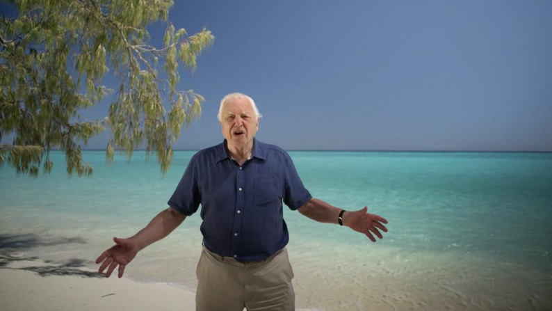 【海洋史诗】《老爵爷的大堡礁之旅》 (2015)【全3集中英双字】大卫·爱登堡探访世界最大珊瑚礁生态奇观-玩嗨助吧网