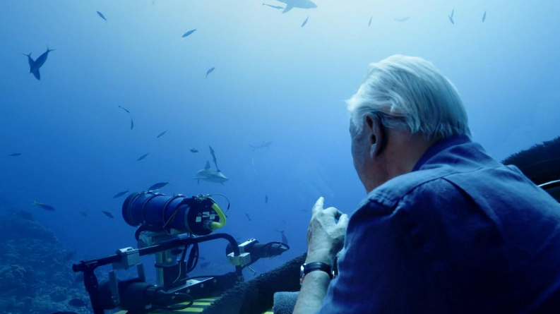 图片[2]-【海洋史诗】《老爵爷的大堡礁之旅》 (2015)【全3集中英双字】大卫·爱登堡探访世界最大珊瑚礁生态奇观-玩嗨助吧网