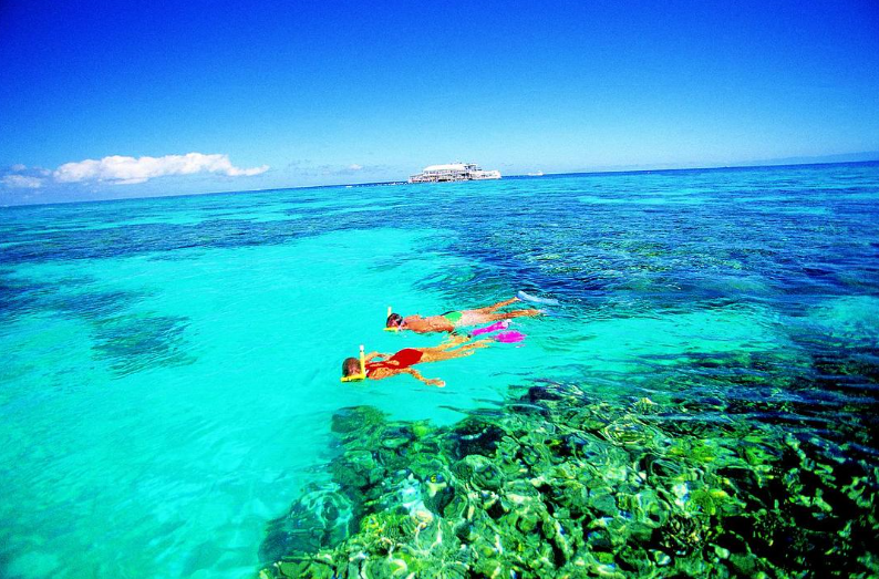 图片[3]-《大堡礁 Great Barrier Reef》 (2012) 英国BBC纪录片【全3集/中英双字】高清资源下载-玩嗨助吧网