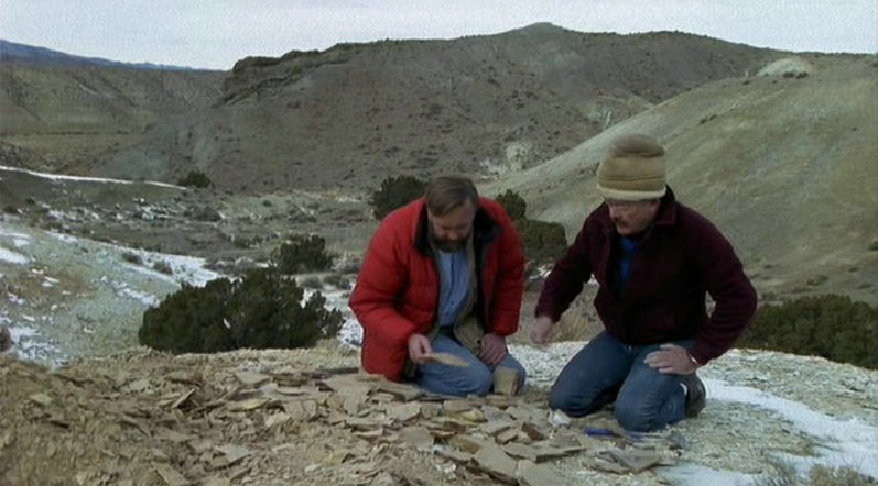 图片[3]-《地球的故事 Earth Story》 (1998) 英国BBC纪录片【全8集/中英双字】高清资源下载-玩嗨助吧网