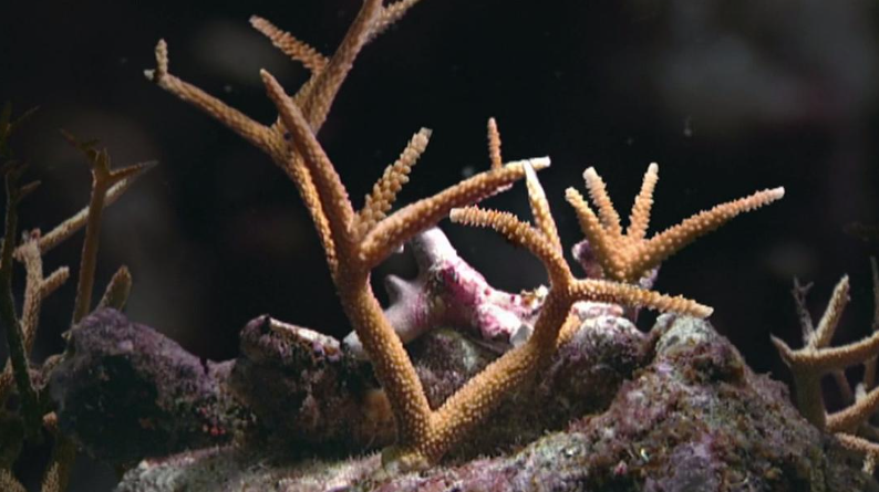 图片[2]-《地球的力量 Earth: The Power of the Planet》 (2007) 英国BBC自然纪录片 高清资源下载-玩嗨助吧网