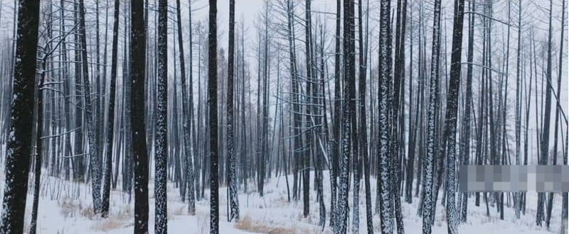 图片[2]-《炽热 Incandescence》 (2024) 加拿大自然纪录片【单集全/中英双字】-玩嗨助吧网