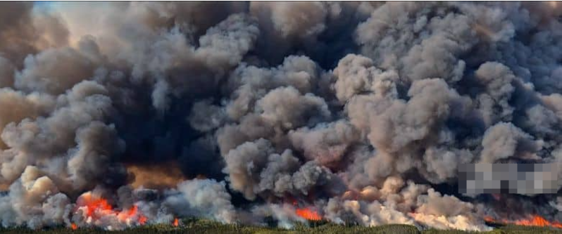 图片[3]-《炽热 Incandescence》 (2024) 加拿大自然纪录片【单集全/中英双字】-玩嗨助吧网