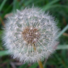 《生物飞行的冷知识》 (2022) 美国自然纪录片【单集全/中英双字】-玩嗨助吧网