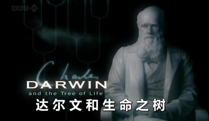 《达尔文和生命之树 Charles Darwin and the Tree of Life》 (2009) 英国BBC纪录片【单集全/中英双字】-玩嗨助吧网