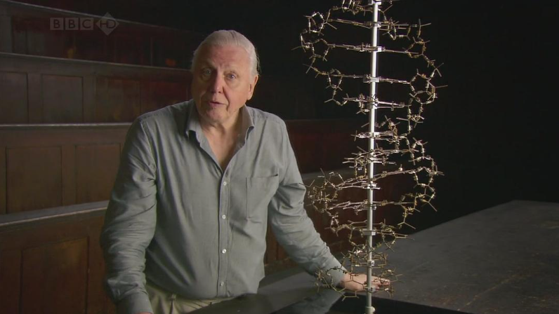 图片[2]-BBC纪录片-玩嗨助吧网