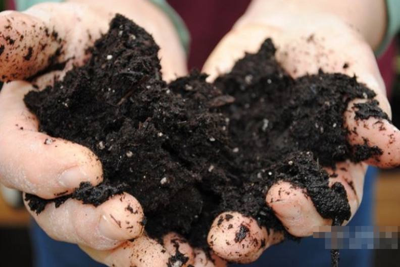 《土壤科学 Deep Down and Dirty The Science of Soil》 (2023) 英国BBC纪录片【单集全/中英双字】高清资源下载-玩嗨助吧网