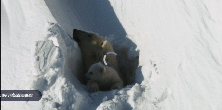 《北极传说 Arctic Tale》 (2022) 美国自然纪录片【单集全/英语中字/720P】高清资源下载-玩嗨助吧网